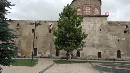 Parklardaki ıhlamur ağaçları şifa dağıtıyor