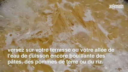 Comment désherber son jardin naturellement