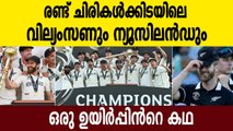Cricket’s gods smile on Kiwis, Kane Williamson and his smile are back | Oneindia Malayalam