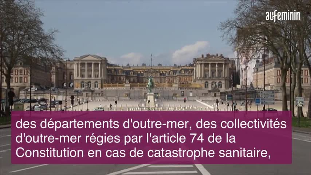 comment promener son chien sans prendre de risque