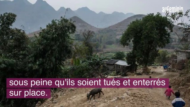 Coronavirus : des Chinois obligés de se débarrasser de leurs animaux