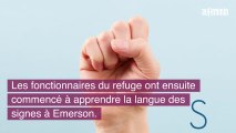 Malentendant, il adopte un chien sourd et lui apprend la langue des signes