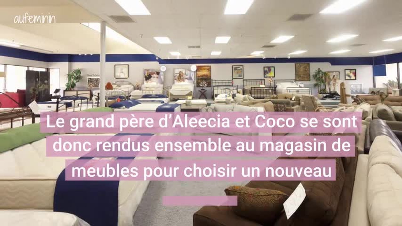 Un grand-père emmène son chien au magasin de meubles pour qu'il teste son futur nouveau fauteuil
