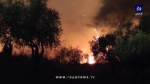 حريق ضخم في مزارع أشجار مثمرة في منطقة سيل جرش بالقرب من طريق اربد عمان
