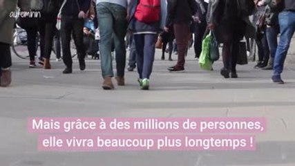 En Belgique, près de deux millions d'euros récoltés pour sauver la vie de Pia, un bébé atteint d'une maladie rare