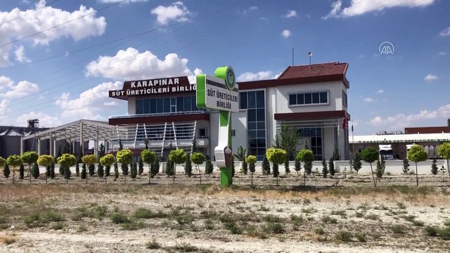 KONYA - Karapınar ilçesinden Çin'e 250 ton süt tozu ihracatı