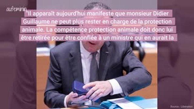 Pamela Anderson, Michel Sardou et des dizaines de personnalités et associations réclament un ministère de la protection animale