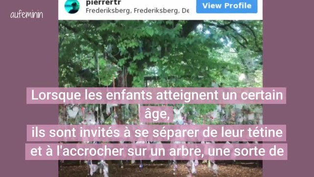 Les parents danois ont trouvé comment leurs enfants pouvaient arrêter la tétine