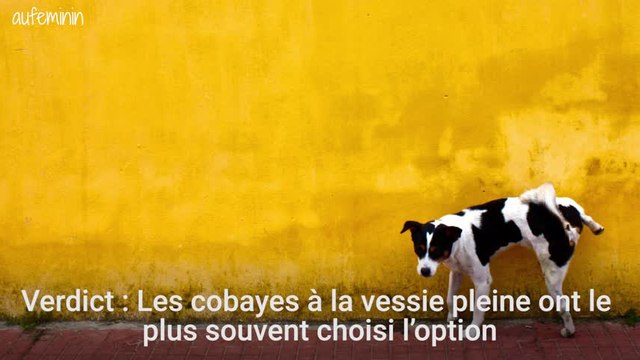 Une étude révèle que l'on prend de meilleures décisions quand on a envie de faire pipi
