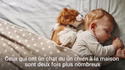 Vivre avec un animal de compagnie rend plus heureux