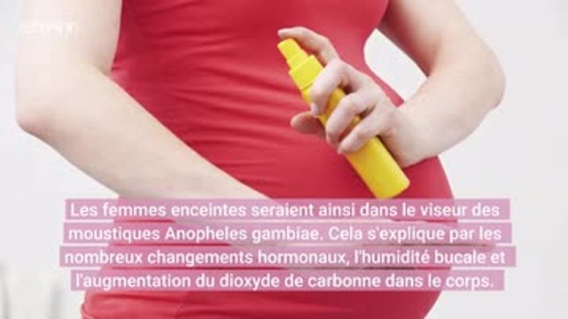 Moustiques : pourquoi certaines personnes se font-elles plus piquer que d'autres
