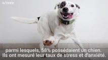Avoir un chien réduirait l'anxiété chez l'enfant
