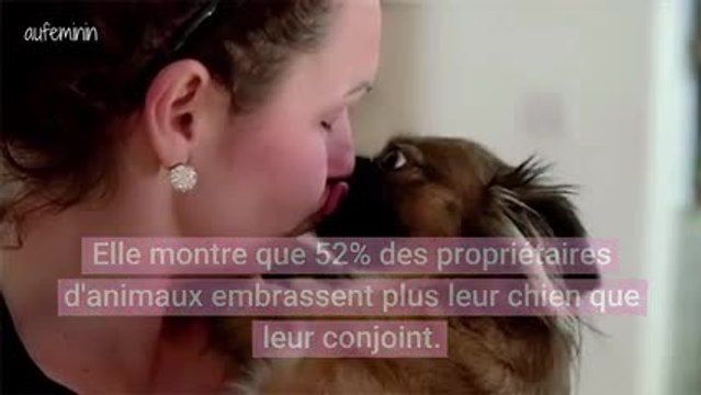 Etude : plus de la moitié des propriétaires de chiens l'embrassent plus que leur partenaire