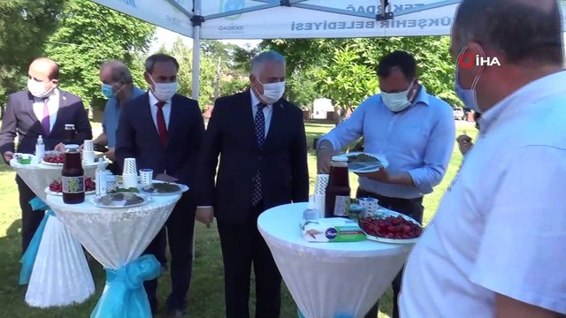 Tekirdağ’da coğrafi tescilli 'Yapıncak yaprağı' için hasat şenliği düzenlendi