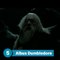 The 10 Most Depressing Harry Potter Deaths
