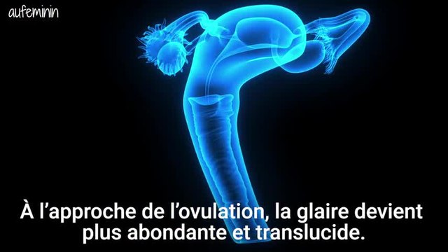 La glaire cervicale, à quoi ça sert