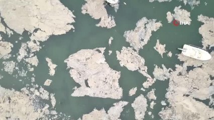 Antalyalı fenomen Marmara'da müsilaja daldı... Denizdeki son durum içleri acıttı