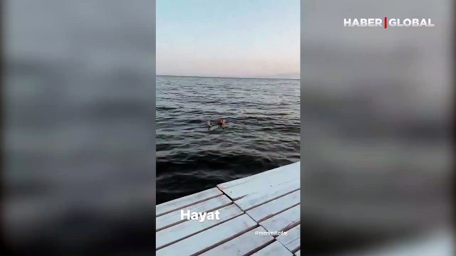 Masumlar Apartmanı'nın yıldızları Ezgi Mola ve Merve Dizdar tatilde