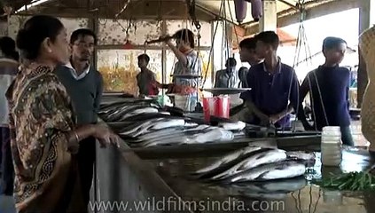 Fish market in Arunachal Pradesh
