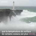 réchauffement climatique