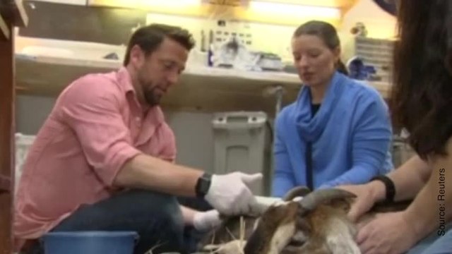 Grâce à cet homme, ce cheval a le droit à une nouvelle vie