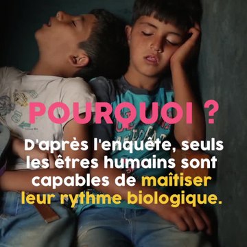 Se lever tard serait un signe d'intelligence !