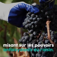 Le vin rouge nous rendrait plus jolie !