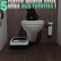 8 preuves que votre chat vous aime