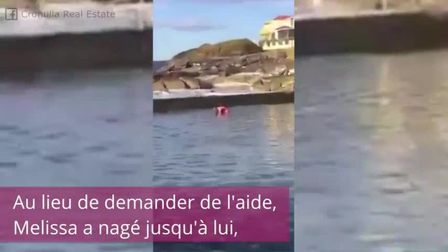 Cette femme attrape à mains nues un requin infiltré dans une piscine !
