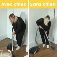 La vie avec ou sans chien