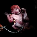 Christian Berthelot immortalise les premiers instants de vie