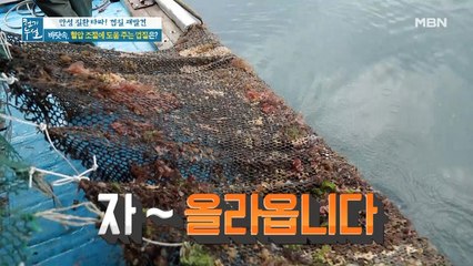 바닷속, 혈압 조절에 도움 주는 껍질은?