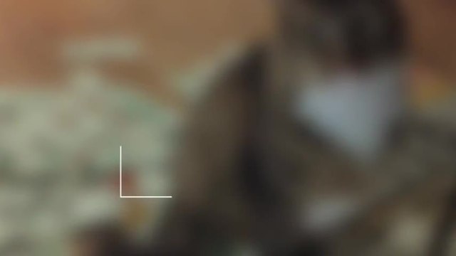 Ce chat qui vole de l'argent est plus riche que vous ! Ses gains sont