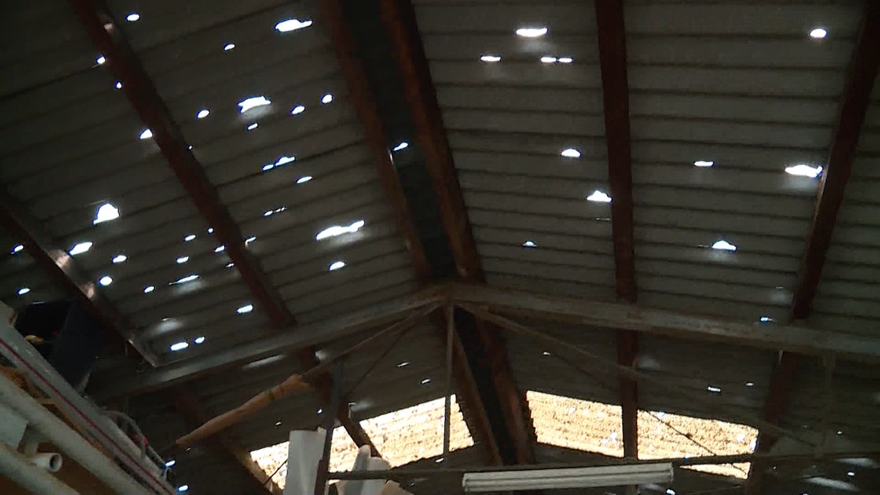 Auf Schrattenberg gingen faustgroße Hagelkörner nieder