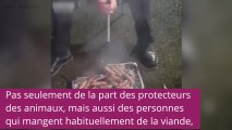 Ces pompiers sauvent des cochons du feu, la suite est surprenante