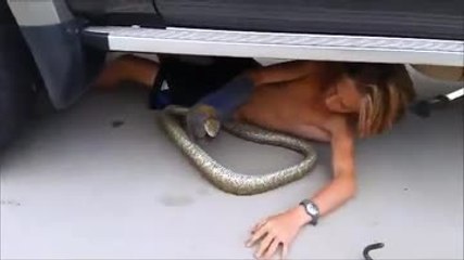 Cet enfant déloge un python sous un camion