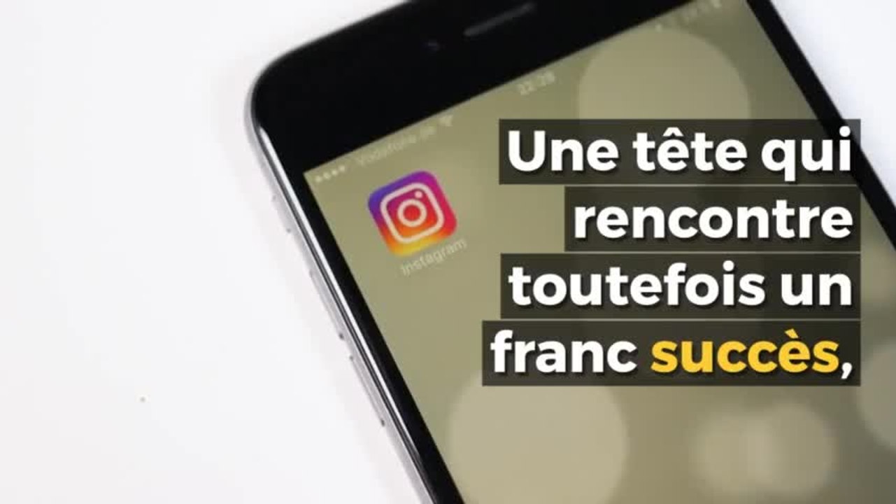 Voici Luhu, le chat le plus triste du monde