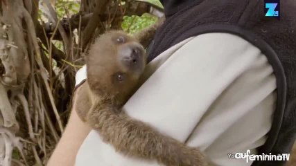 Le premier examen médical d’un bébé paresseux