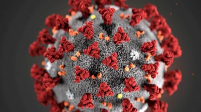 Maharashtra reports first death from Delta Plus variant