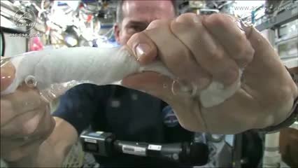 Voilà ce qu'il se passe quand on essore une serviette dans l'espace !