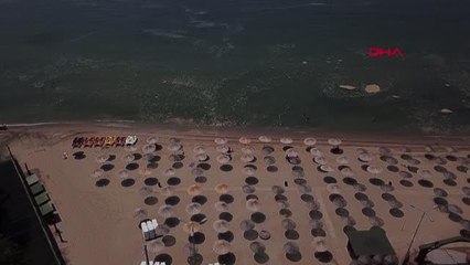 KOCAELİ DARICA'DA MÜSİLAJA RAĞMEN DENİZE GİRDİLER