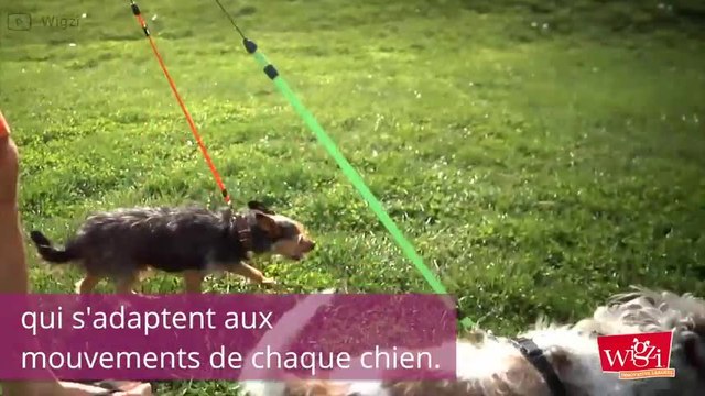 Vous avez deux chiens Cet objet va vous simplifier la vie !