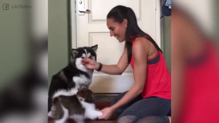 FR_170911-04-treat-for-big-and-small-dog-bigsc