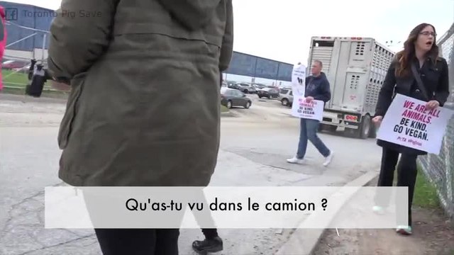 Cette fille qui défend les animaux tombe en larmes