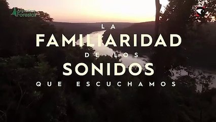 El IMiBio propone revalorizar los frutales misioneros