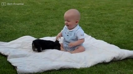 FR_170726-03-puppy-attacks-baby-bigsc