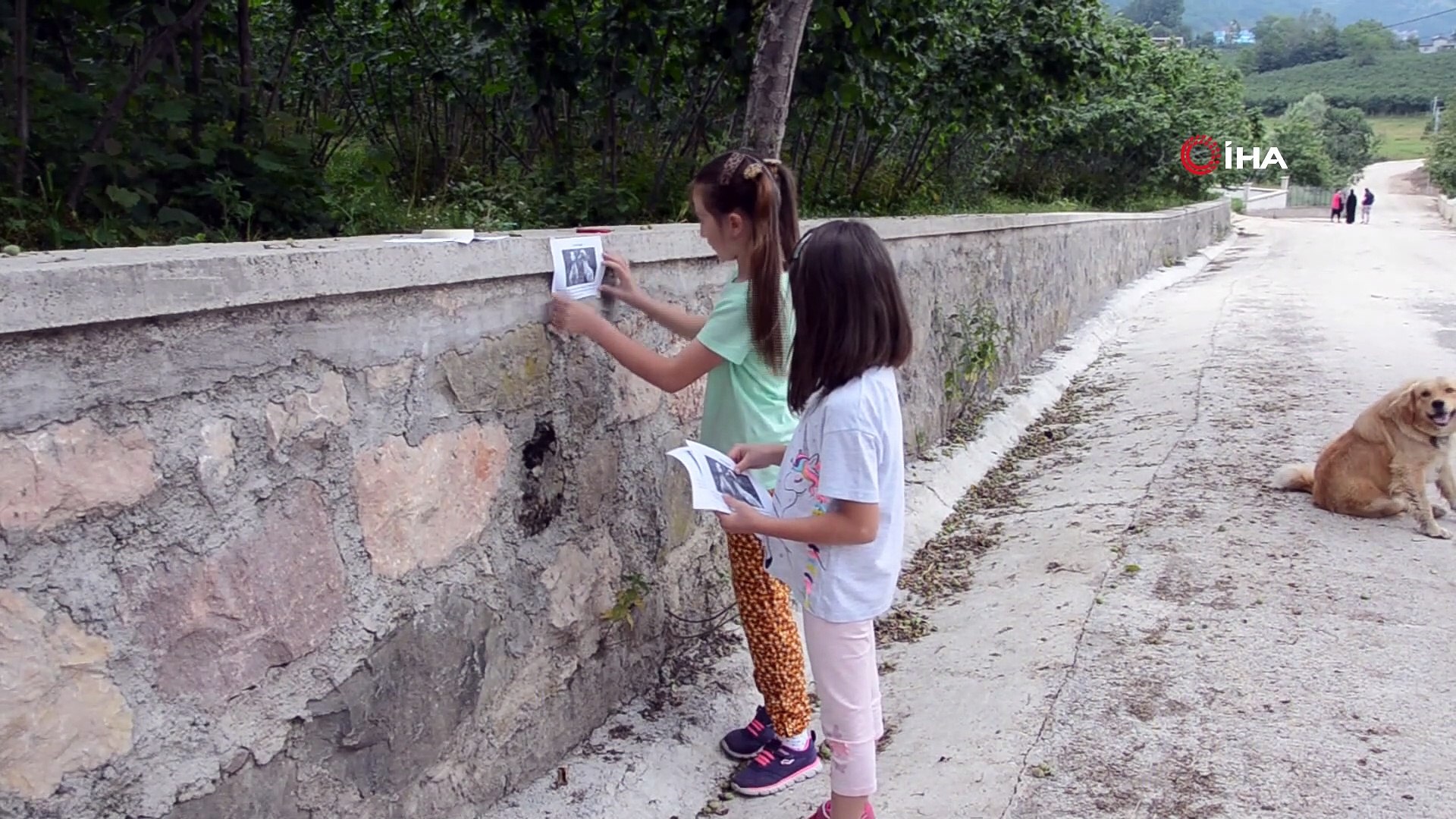 ⁣Ordu'da iki kız kardeş hazırladıkları afişlerle kaybolan ördeklerini arıyor