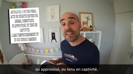 Il était une bergère, une comptine pour enfants ou pour les grands