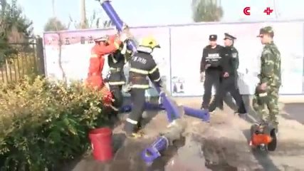 Ils sauvent un chaton