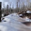 Patinage sur glace en pleine forêt